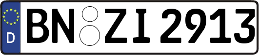 BN-ZI2913