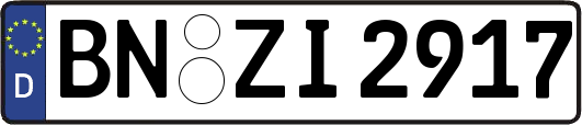 BN-ZI2917