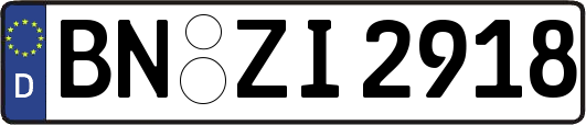 BN-ZI2918