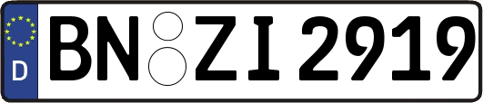 BN-ZI2919