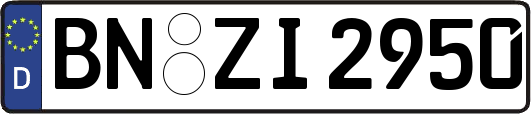 BN-ZI2950