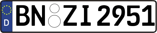 BN-ZI2951