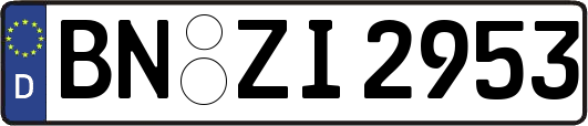 BN-ZI2953