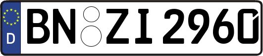 BN-ZI2960