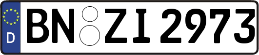 BN-ZI2973