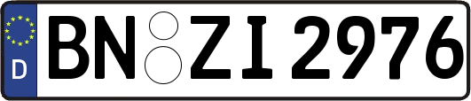 BN-ZI2976