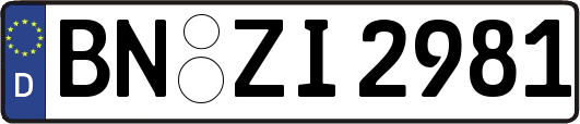 BN-ZI2981