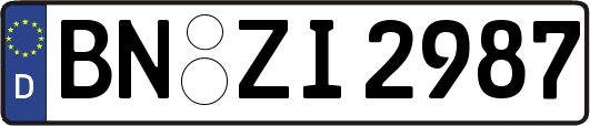 BN-ZI2987