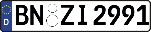 BN-ZI2991