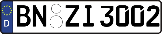 BN-ZI3002