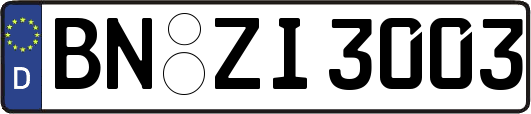 BN-ZI3003