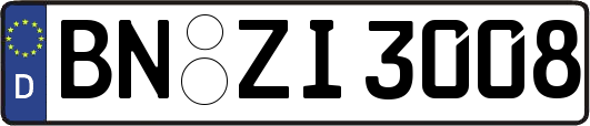 BN-ZI3008