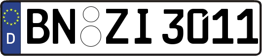 BN-ZI3011