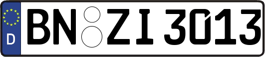 BN-ZI3013
