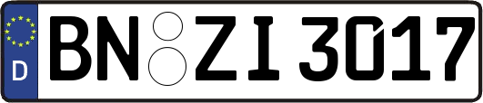 BN-ZI3017