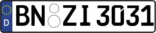 BN-ZI3031