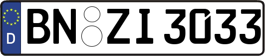 BN-ZI3033