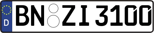 BN-ZI3100