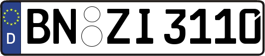 BN-ZI3110