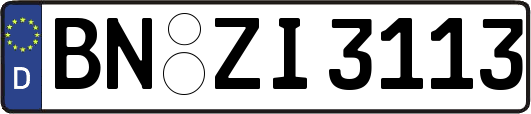 BN-ZI3113