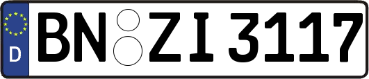 BN-ZI3117