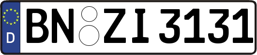 BN-ZI3131
