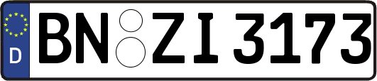 BN-ZI3173