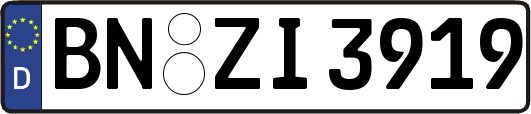 BN-ZI3919