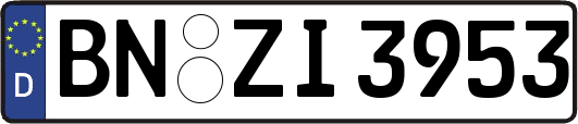 BN-ZI3953