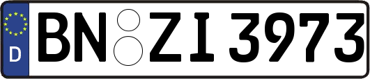 BN-ZI3973