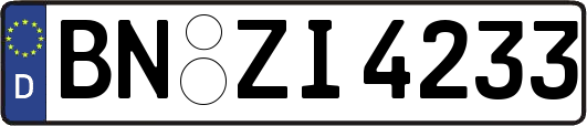 BN-ZI4233