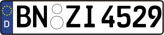 BN-ZI4529