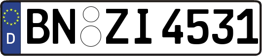 BN-ZI4531