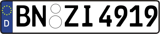 BN-ZI4919
