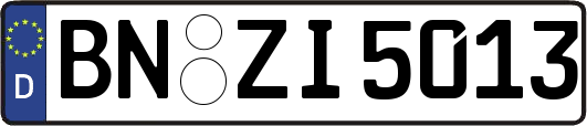 BN-ZI5013