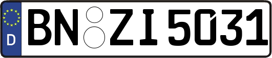 BN-ZI5031