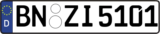 BN-ZI5101
