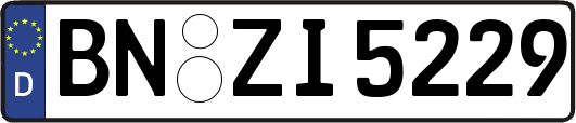 BN-ZI5229