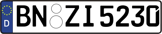 BN-ZI5230