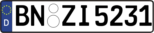 BN-ZI5231