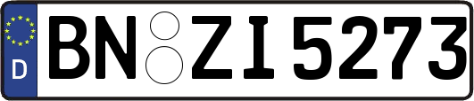 BN-ZI5273