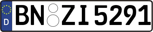 BN-ZI5291