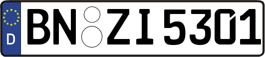 BN-ZI5301