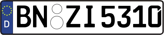 BN-ZI5310
