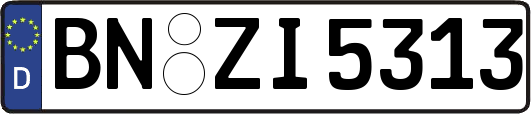 BN-ZI5313
