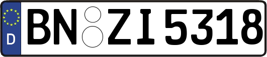BN-ZI5318