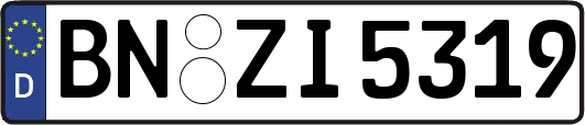 BN-ZI5319