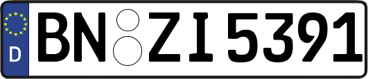 BN-ZI5391