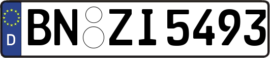 BN-ZI5493