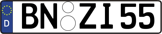 BN-ZI55